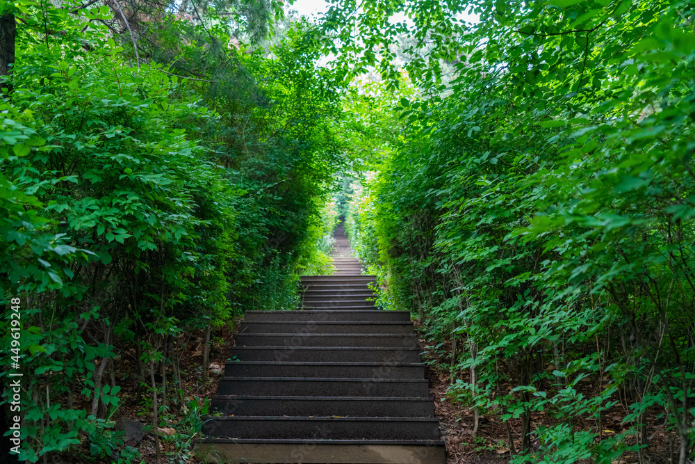 Fototapeta premium 韓国のソウルの観光名所を旅行している風景 A scene from a trip to a tourist attraction in Seoul, South Korea.