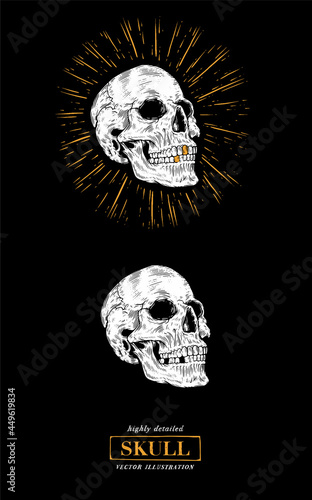 Anatomically human skull in vintage engraving style. Hand drawn vector illustration in retro style for poster, t-shirt, prints. 