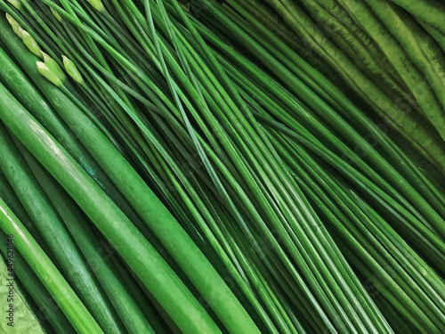 Full Frame Background of Various Kinds of Green Vegetables © AkeDynamic