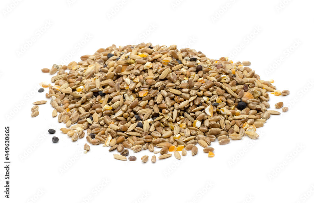 Pile of mixing seeds or pigeon mix food on an isolated white background Pile of mixing seeds or pigeon mix food on an isolated white background