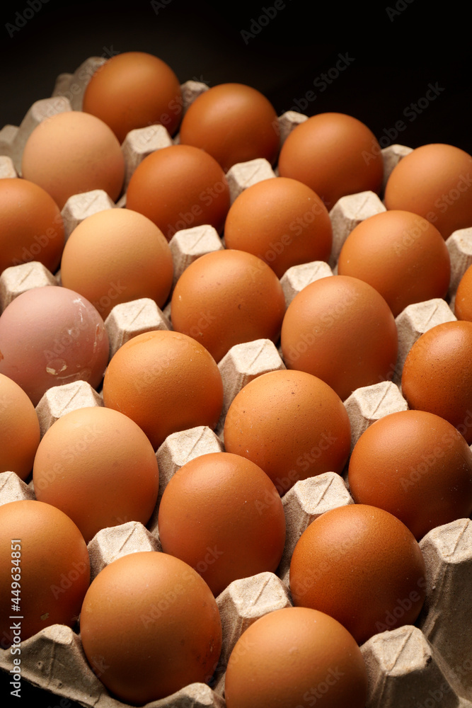 Close up of brown eggs in recycle egg tray Close up of brown eggs in recycle egg tray