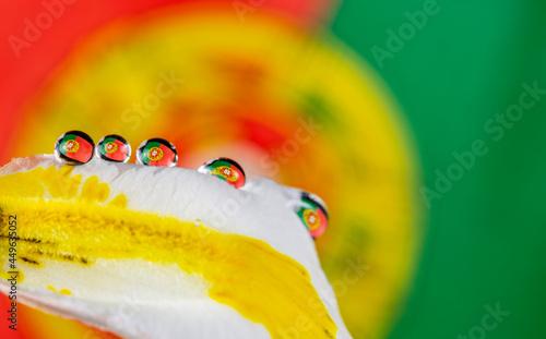 The Portuguse Flag in One (several) Water Drop photo