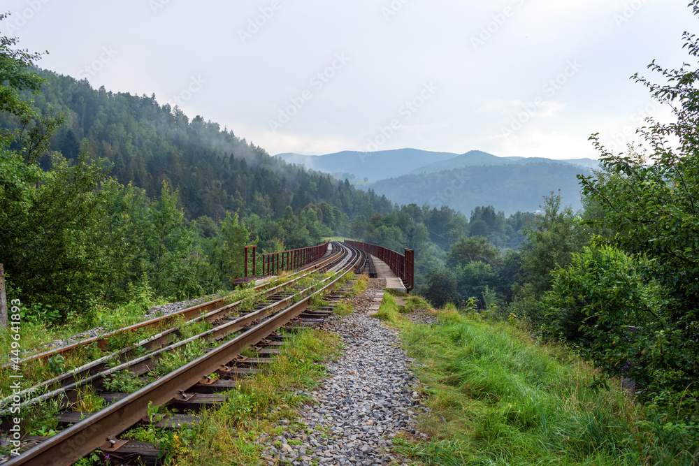 Railway bridge in the mountains. Close-up. Carpathians. Ukraine. Transport.