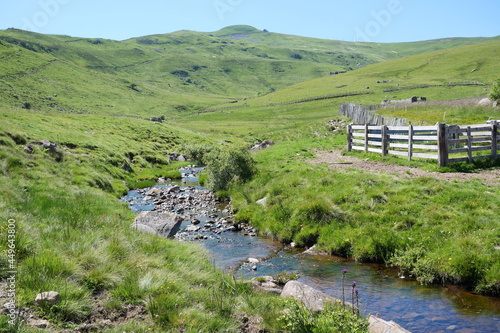 ruisseau de montagne au pied du Plomb du Cantal, Auvergne