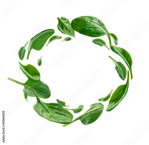 Green spinach leaves levitate on a white background © butenkow