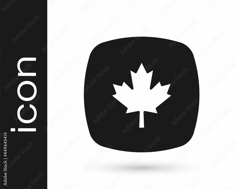Black Canadian maple leaf icon isolated on white background. Canada symbol maple leaf. Vector Black Canadian maple leaf icon isolated on white background. Canada symbol maple leaf. Vector