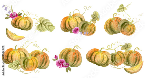 Pumpkins, leaves, flowers. Watercolor illustration. Autumn, Harvest, Halloween, Thanksgiving theme.