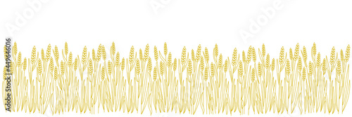 Wheat field. Agriculture cereal harvest. Bread wrapper. Dry rye grass straw. Horizontal banner. Hand drawn sketch. Contour vector line. Open paths. Editable stroke.