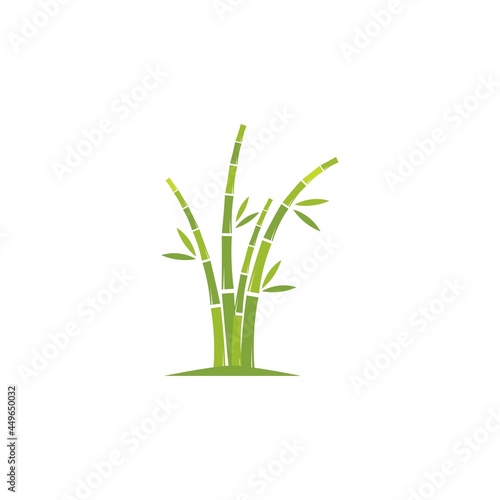 Fototapeta Naklejka Na Ścianę i Meble -  Bamboo with green leaf