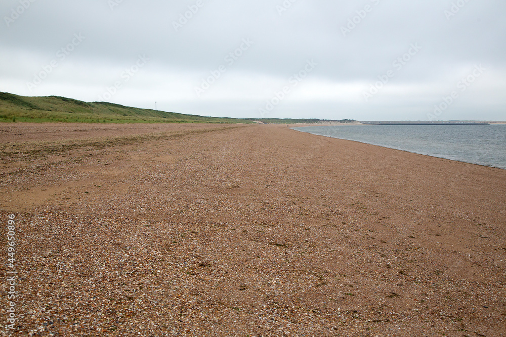 Sandy beach, covered with shells; Ouddorp; Goeree-Overflakke, Netherlands
