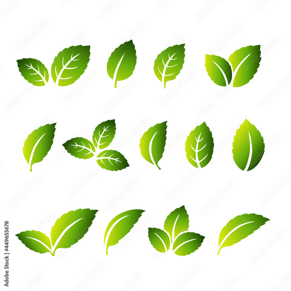 Green Leaves Set Vector Set