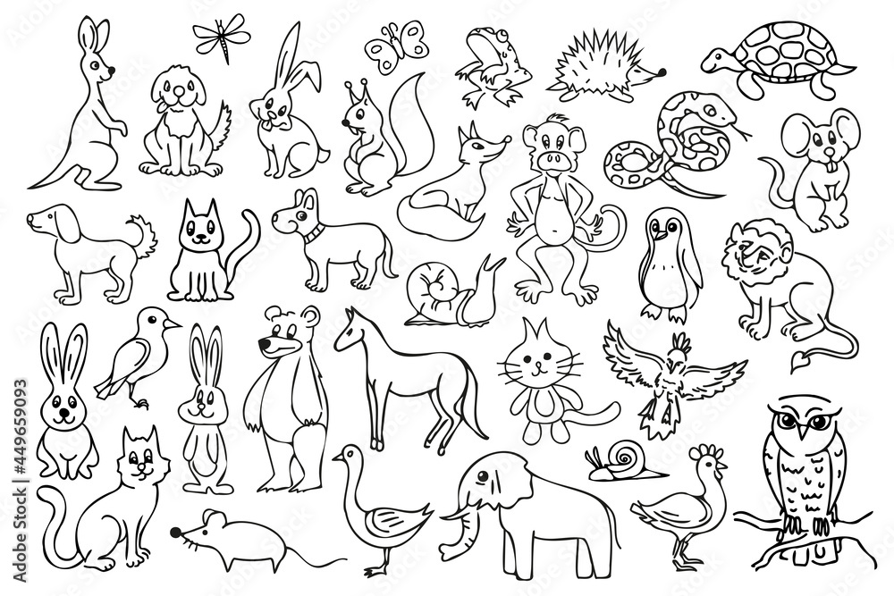 outline animal illustration set. Collection of black contour cartoon characters. Black thin line animal coloring illustrations.