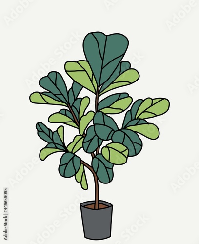 Doodle freehand sketch drawing of fiddle leaf fig tree.