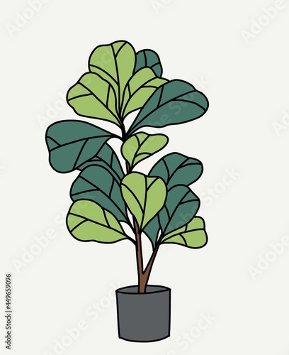 Doodle freehand sketch drawing of fiddle leaf fig tree.