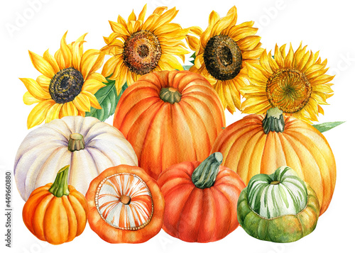 Autumn harvest, watercolor sunflowers and pumpkins, isolated white background
