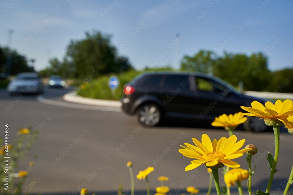 Yellow wildflowers in front of road intersection. Traffic circle with 3 moving cars. Shallow depth of field. Germany.