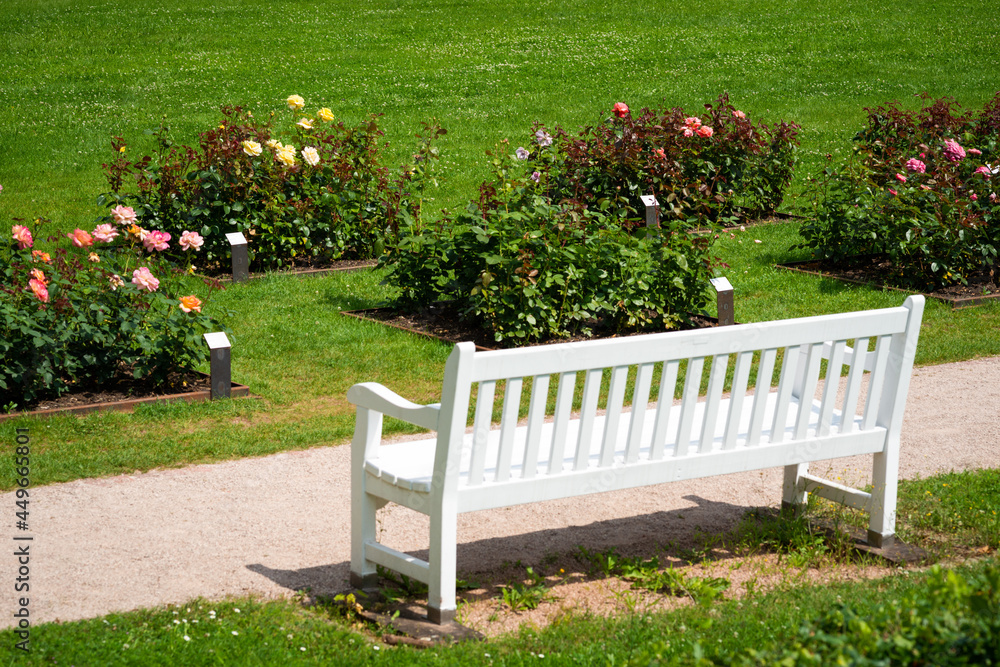 park bank rosen garten parkanlage grünfläche sitzen park bank rosen garten parkanlage grünfläche sitzen