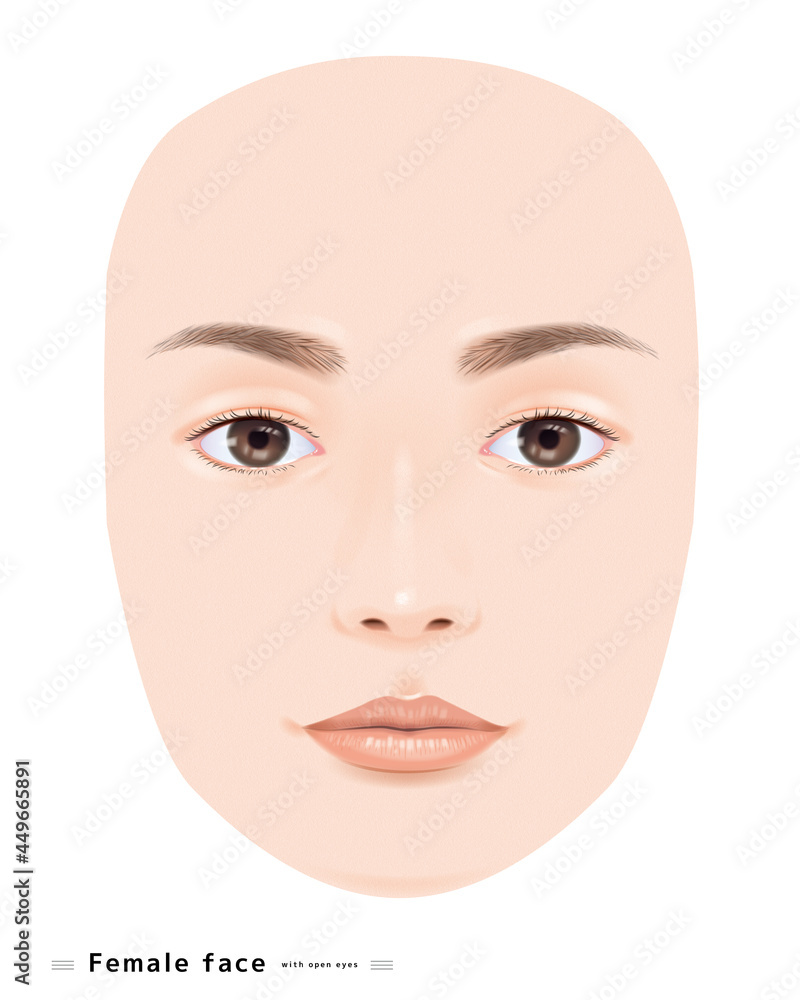 目を開いた 顔 若い 女性 美容 表情 唇 目 鼻 眉 イラスト リアル 正面 モデル 輪郭 スキンケア Stock ベクター Adobe Stock
