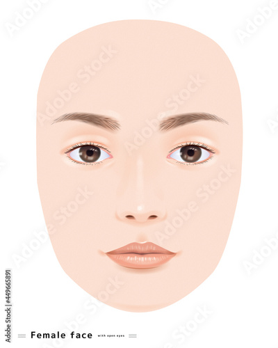 目を開いた 顔 若い 女性 美容 表情 唇 目 鼻 眉  イラスト リアル 正面 モデル 輪郭 スキンケア