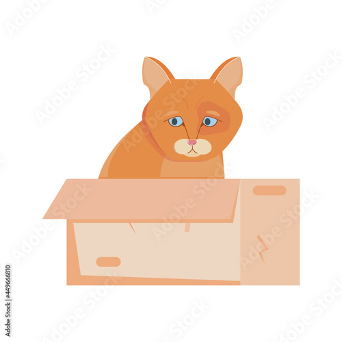 Homeless Cat Illustration