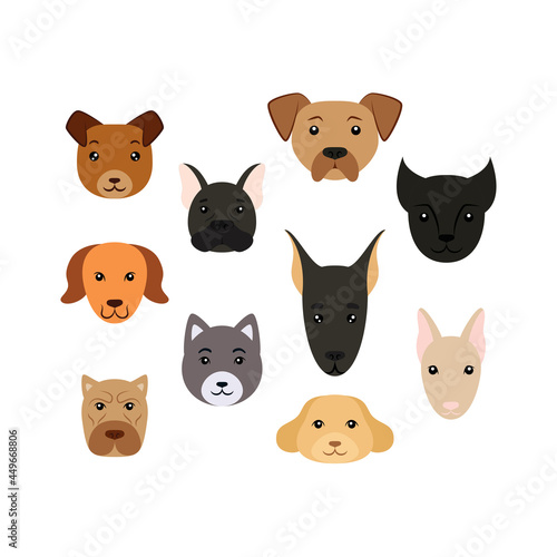 Fototapeta Naklejka Na Ścianę i Meble -  Hand-drawn set of dog face. Dogs doodle style. Vector colorfull illustration isolated on white background. Decoration for greeting cards, posters, flyers, prints for clothes.