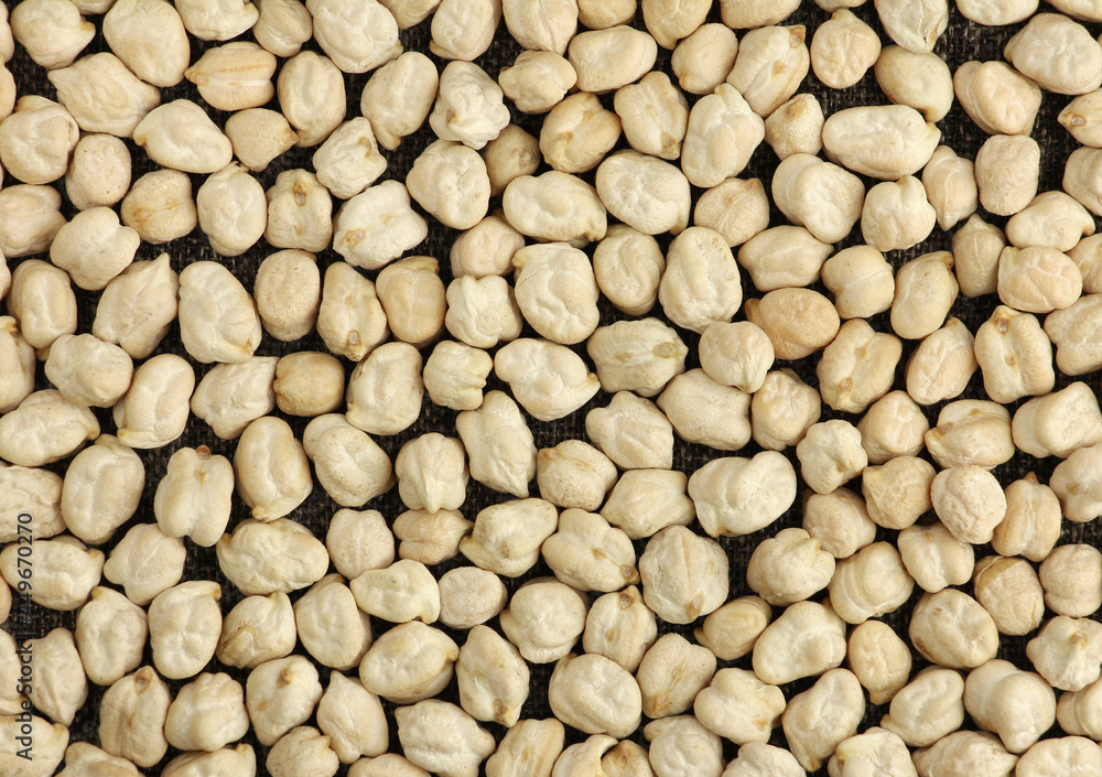dried chickpeas on cloth, chickpea seeds are high in vegetable protein dried chickpeas on cloth, chickpea seeds are high in vegetable protein