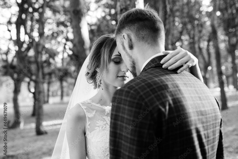 walk of the bride and groom through the autumn forest walk of the bride and groom through the autumn forest
