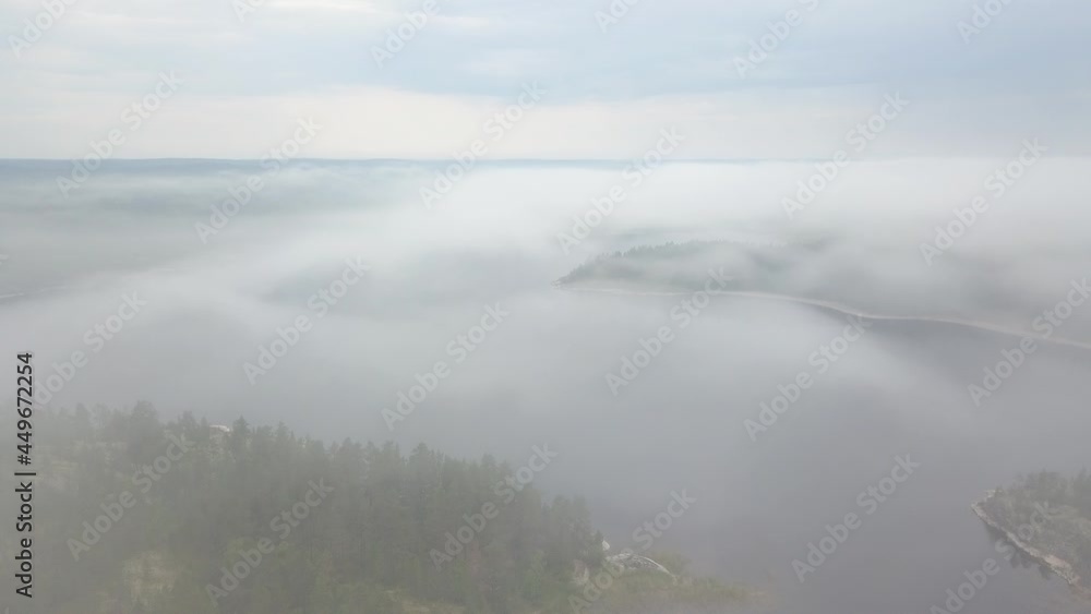 fog in the forest and lake fog in the forest and lake