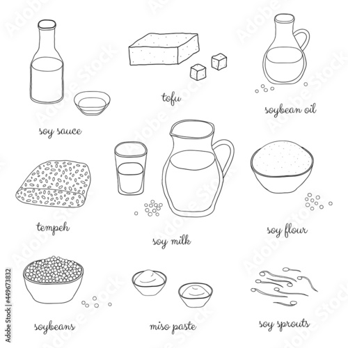 Hand drawn outline soy foods.