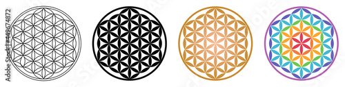 Flower of life geometric pattern ornament from overlapping circles. Outline black golden and rainbow version