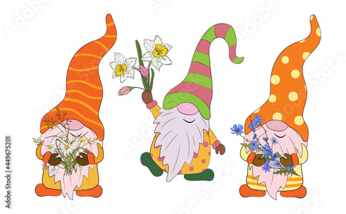 The gnomes are holding a bouquet of daisies, daffodils and chicory. Vector illustration