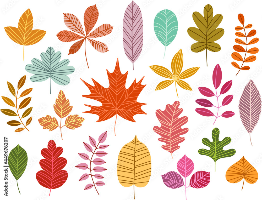 Autumn leaves hand drawn set. Vector fall foliage elements collection