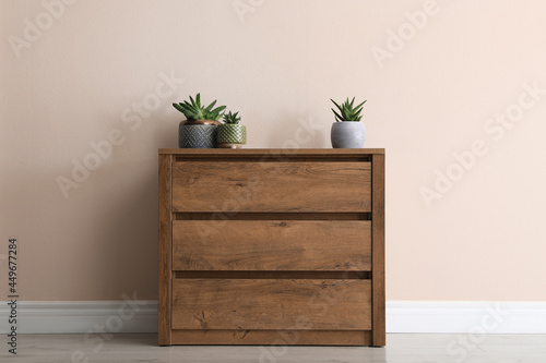 Wooden chest of drawers with houseplants near beige wall