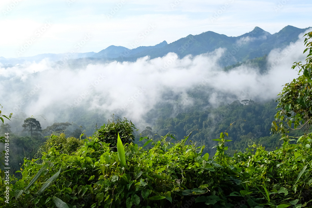 Destination and paradise of the mist and fog in the jungle on the valley mountain. Aerial view of Rainy season in the tropical rainforest in Thailand.