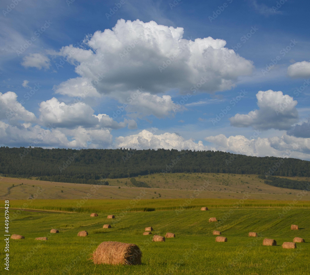 clouds over the field after harvesting clouds over the field after harvesting