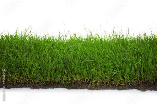 Soil with lush green grass on white background