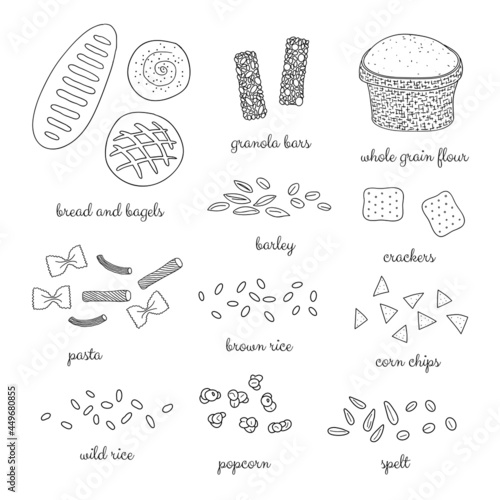 Hand drawn whole grain foods.