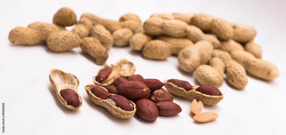 peanut kernels on a white background peanut kernels on a white background