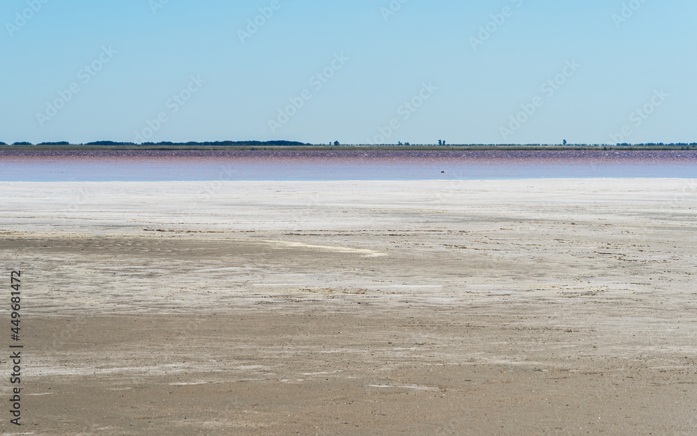 pink surface of a salt lake