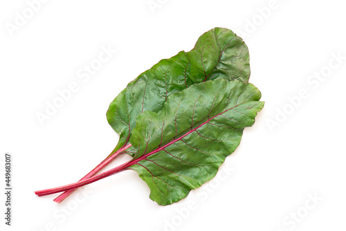 Beet leaves, beet foliage isolated on white. Top view. photo