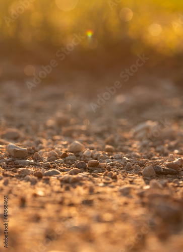autumn leaves on the water