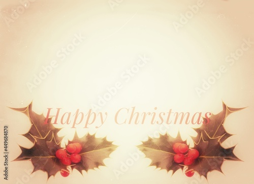 Holly sprig with red berries on white