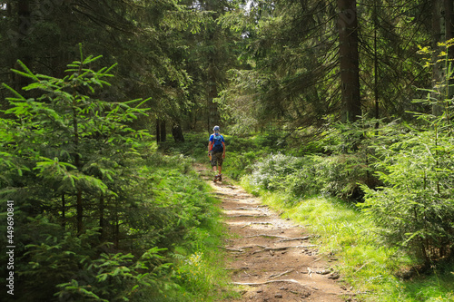 Hiking on hiking trail Rennsteig in Ernstthal, Thuringia - Germany 