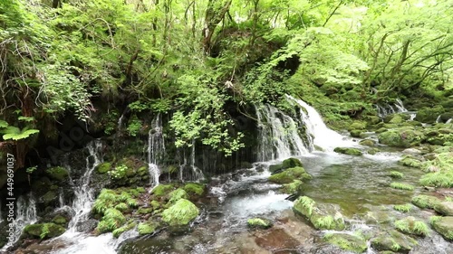 秋田県にかほ市　象潟　元滝伏流水