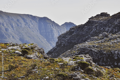 Silvermine Nature Reserve in Cape Town, South Africa. Fynbos vegetation and geology.