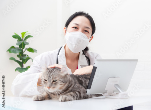 Vet happy smiling while playing with a cat. Asian female veterinarian doctor Consulting through the Internet at Animal clinic. Health care Pet and prevention COVID-19 strategy Coronavirus concept © Nitiphonphat