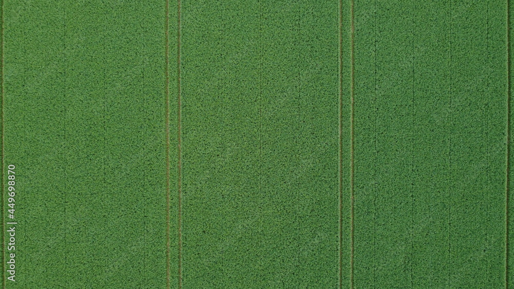 Fototapeta premium DCIM\100MEDIA\DJI_0425.JPG