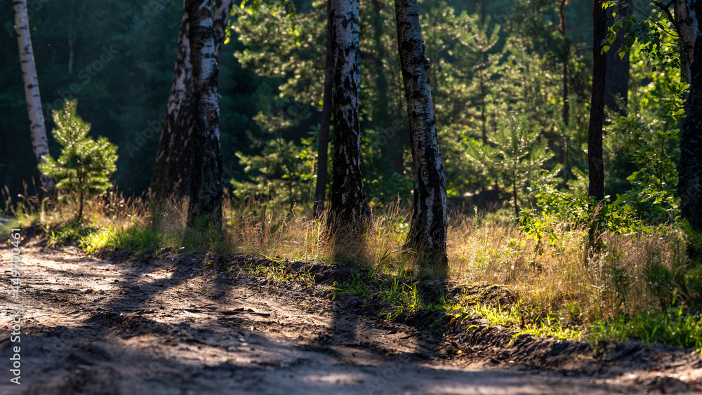 Obraz premium Cienie