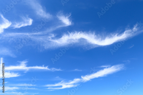 There are many cirrus uncinus clouds in the blue sky