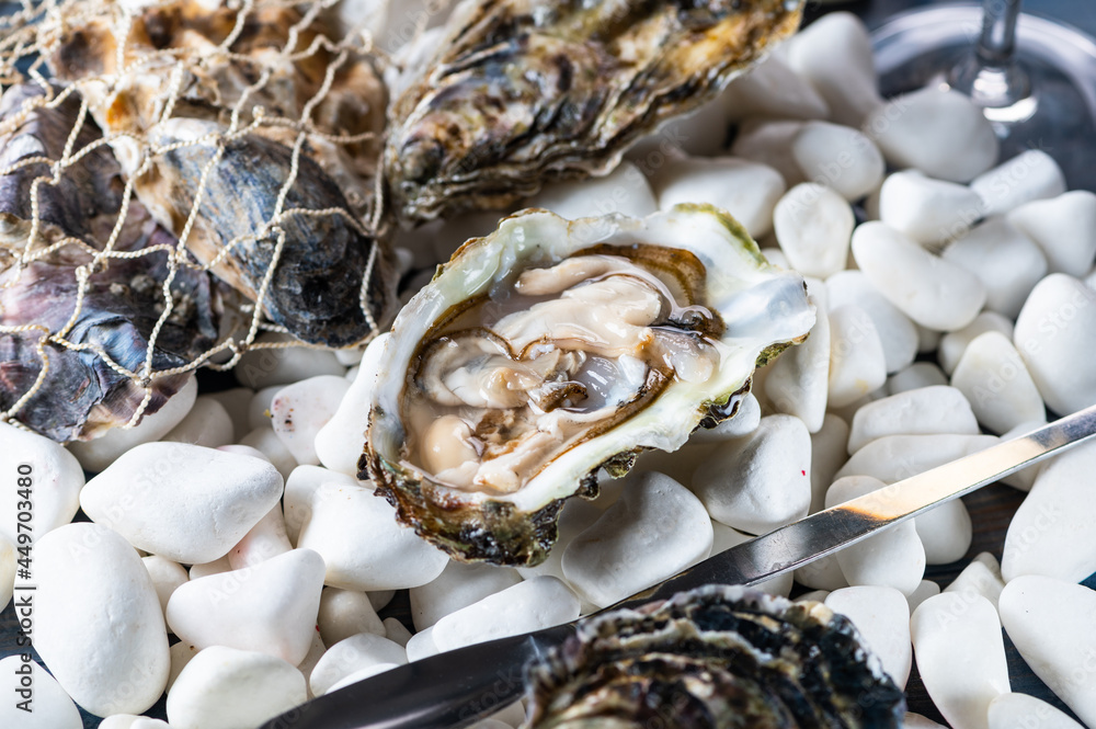 Tasty oysters on white stones. Uncooked seafood. Tasty oysters on white stones. Uncooked seafood.